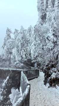 賞雪光霧山，邂逅夢幻冬景