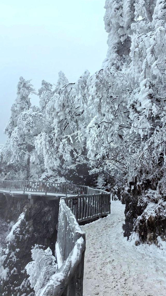 賞雪光霧山，邂逅夢幻冬景