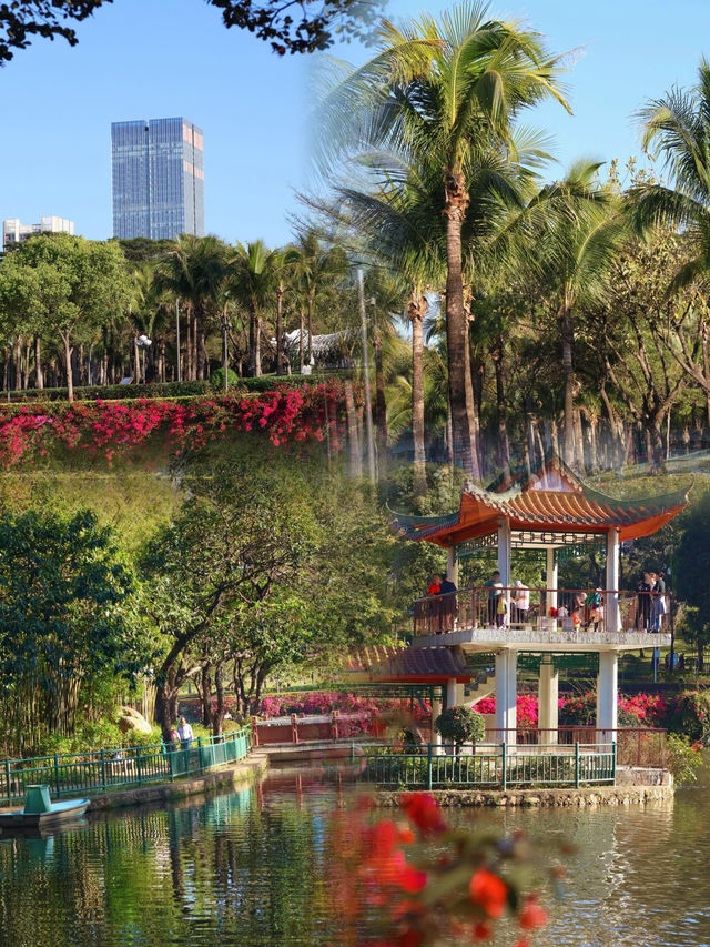 邂逅龍崗龍潭公園，盡享唯美時光