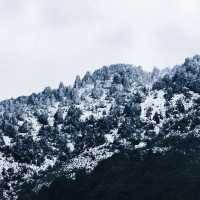 雷波馬湖風景區歡迎大家來玩