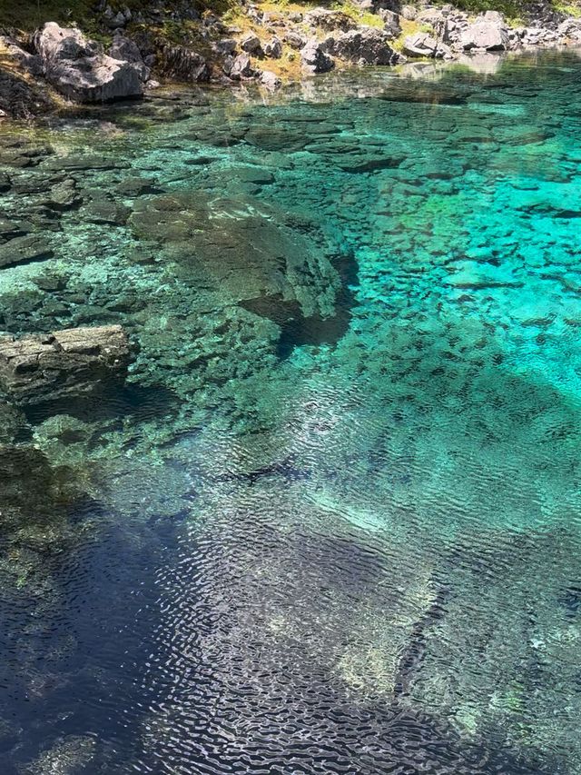 5日玩遍成都-稻城-康定超全攻略速覽 5日玩遍成都-稻城-康定超全攻略速覽