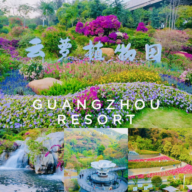 打卡廣州雲蘿植物園