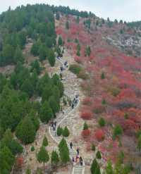 濟南蝎子山