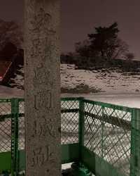 邂逅盛岡城跡公園，探尋歷史的雪影