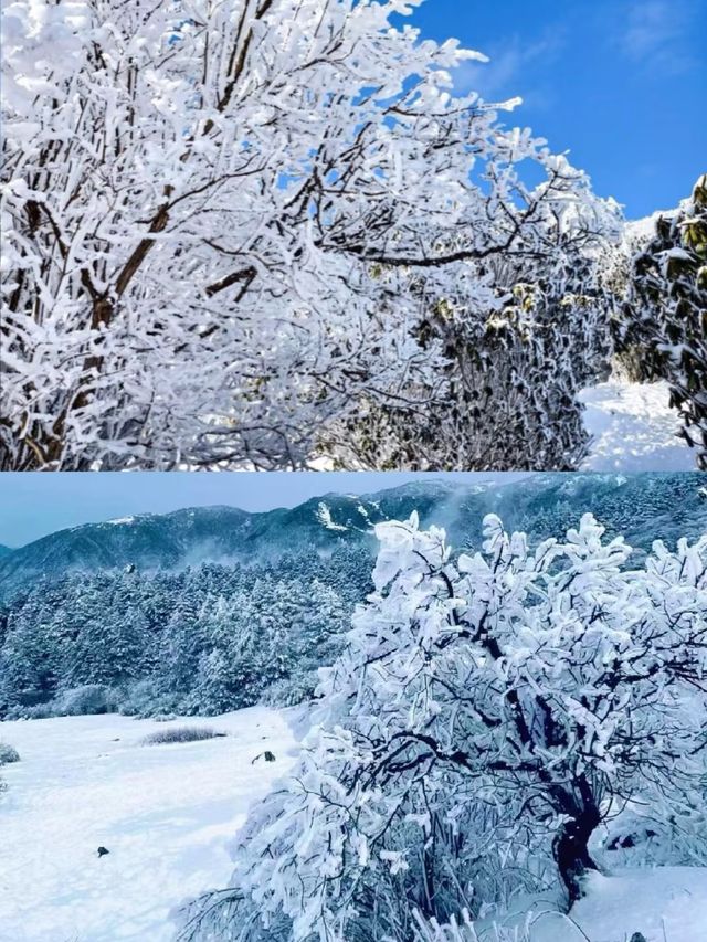 去過神農架3次，掏心窩子說點大實話……