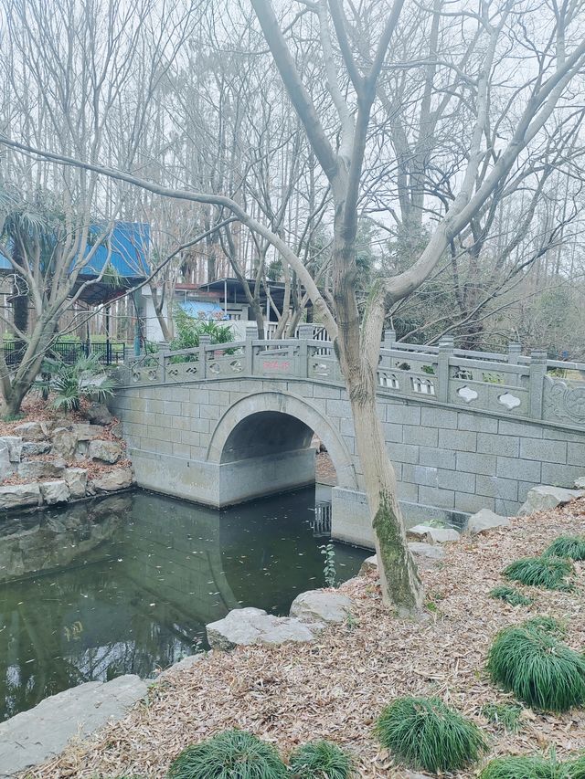 上海市區內居然有那麼大的森林公園