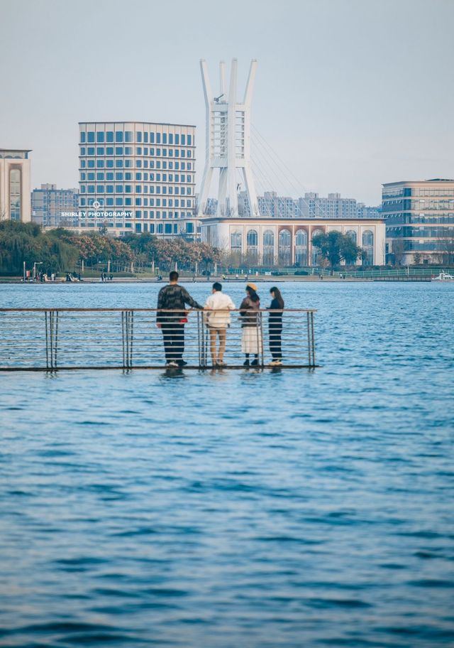 選一個晴天，來這看鄭州的絕美「橘子海」吧