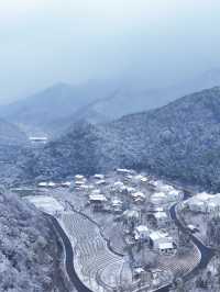 九華山真的迎來了2025年的第一場雪了。
📢📢號外號外，九華山是真的下雪❄️啦