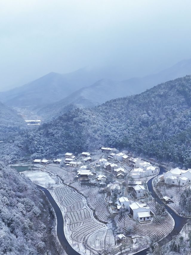 九華山真的迎來了2025年的第一場雪了。
📢📢號外號外，九華山是真的下雪❄️啦