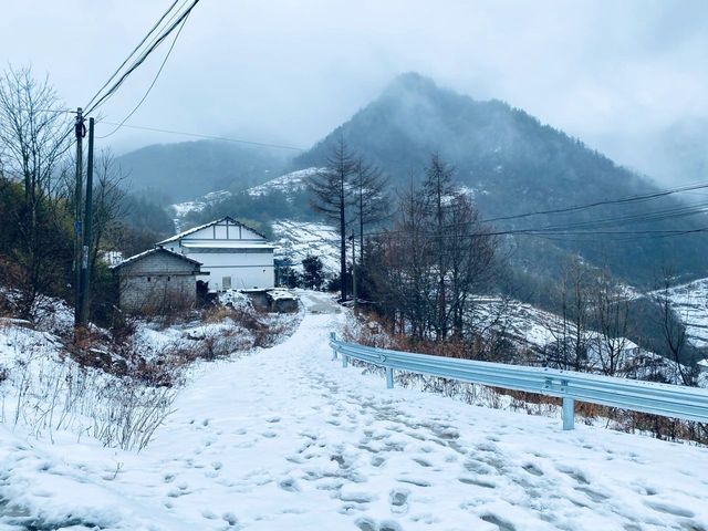 重慶紅池壩｜雪山下的北國風光絕絕子