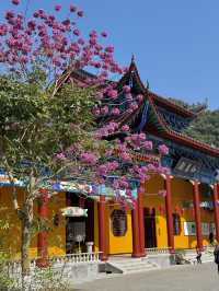 在廣東！！我唯一想去無數次的超大免費寺廟！！