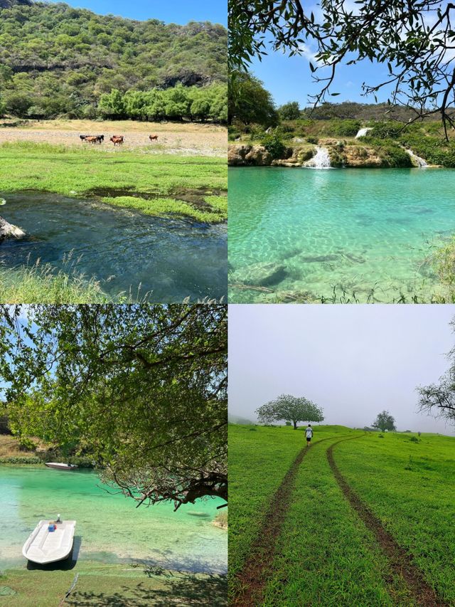 塞拉萊：邂逅阿拉伯半島的浪漫綺夢