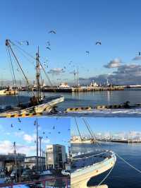 日本苫小牧市