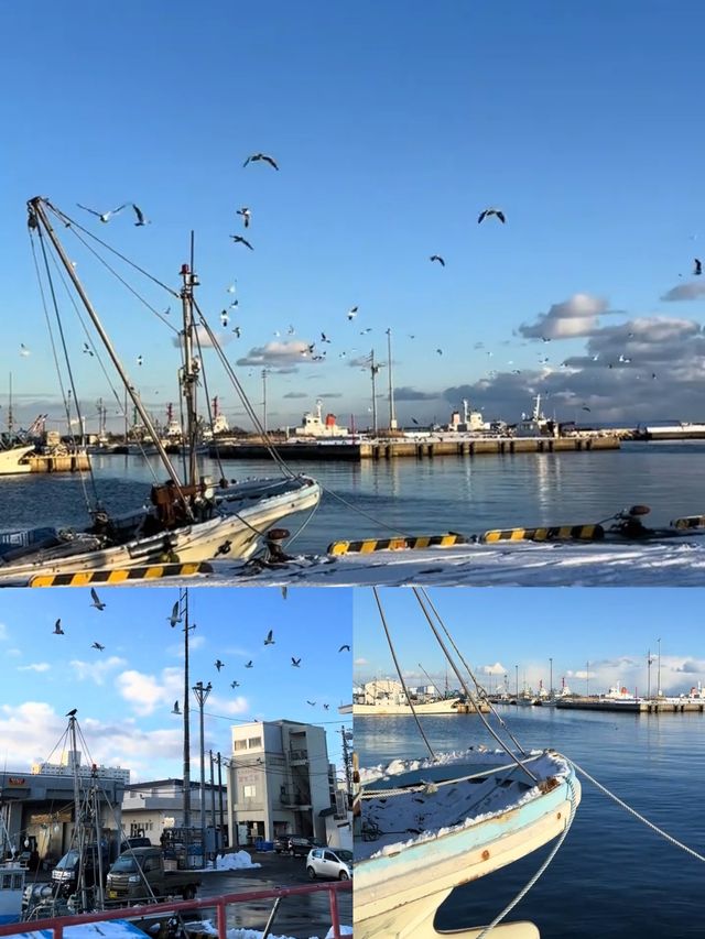 日本苫小牧市