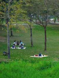"躺平"就好啦城市公園的秘密邊界