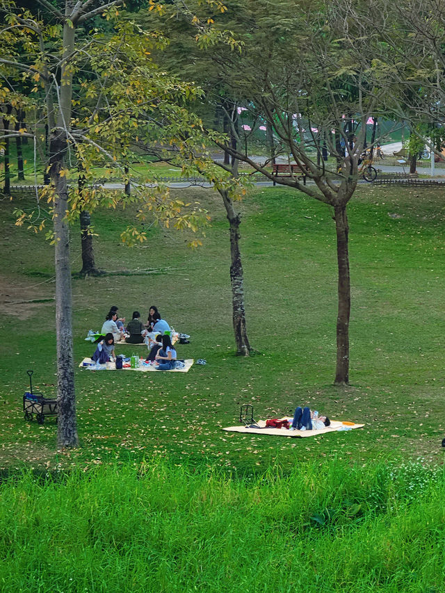 "躺平"就好啦城市公園的秘密邊界