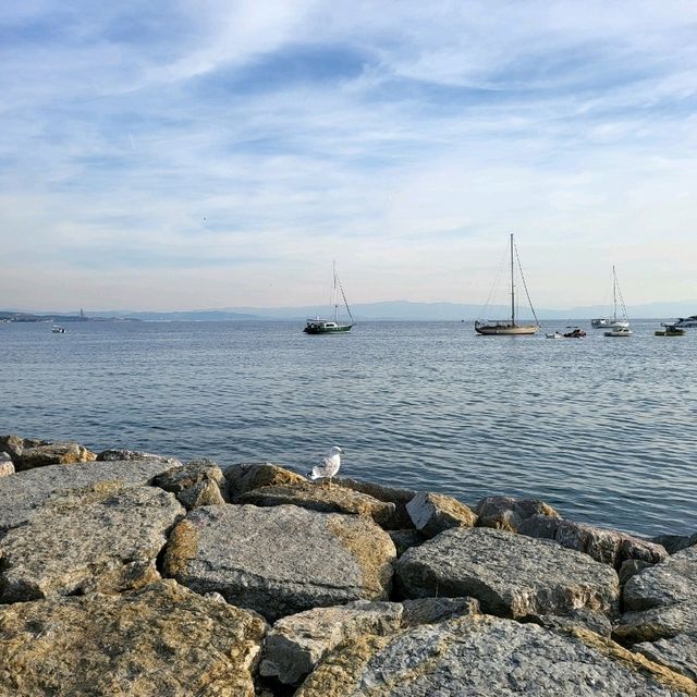 Tuzla district is a hidden beauty 🥰of the asian side of Istanbul🇹🇷