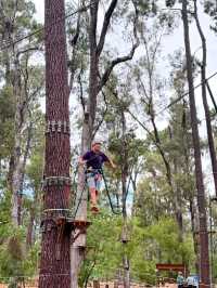 Big Tree Forest Adventure is so Memorable❤️