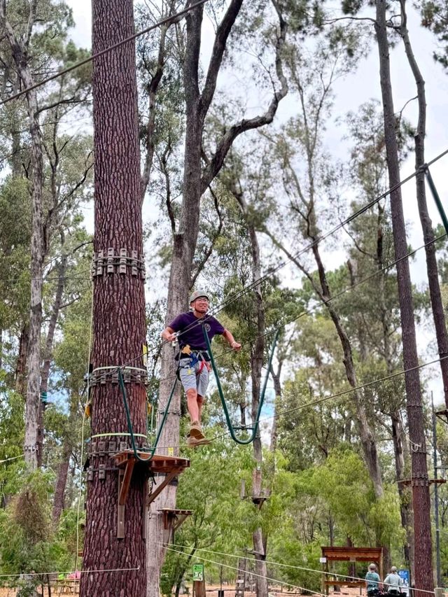 Big Tree Forest Adventure is so Memorable❤️