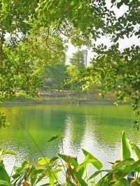 四海公園：飲咖啡、逛公園、曬太陽……