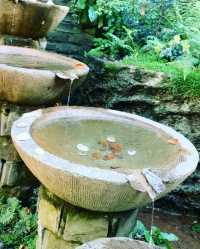 英國格拉斯頓伯里塔夫爾泉：神秘水源與自然之美 