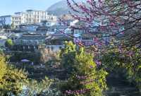 和順古鎮野鴨湖