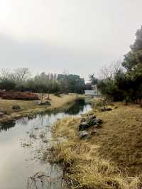 蘇州金雞湖李公堤，湖光山色中顯歷史韻味