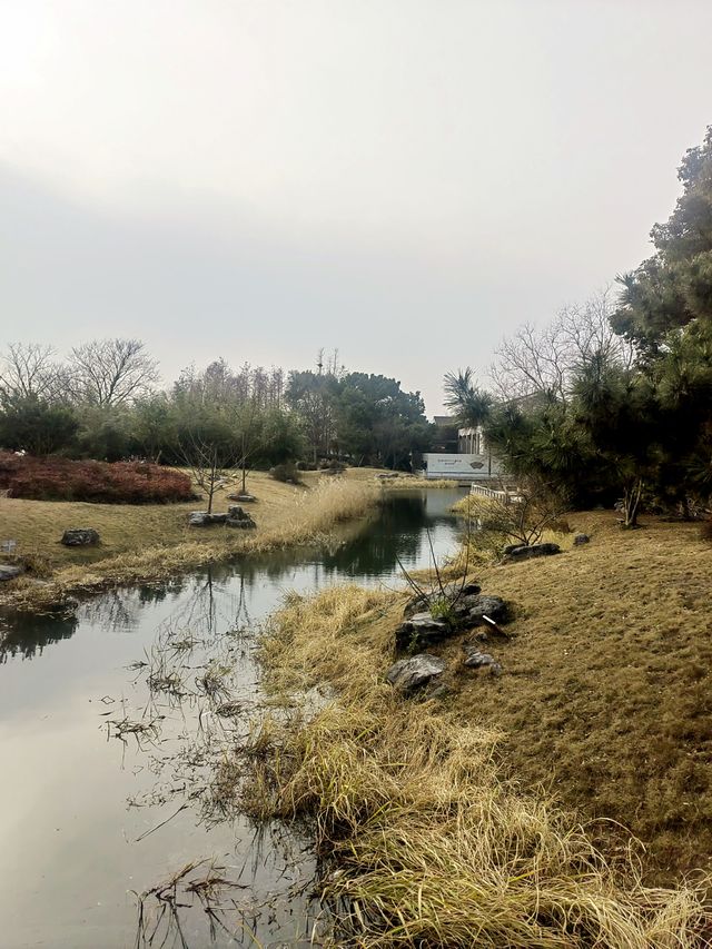 蘇州金雞湖李公堤，湖光山色中顯歷史韻味