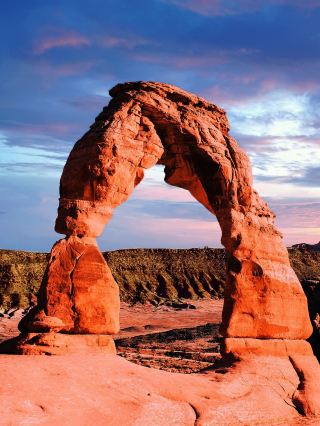 美國6日遊探秘森林奇景不容錯過