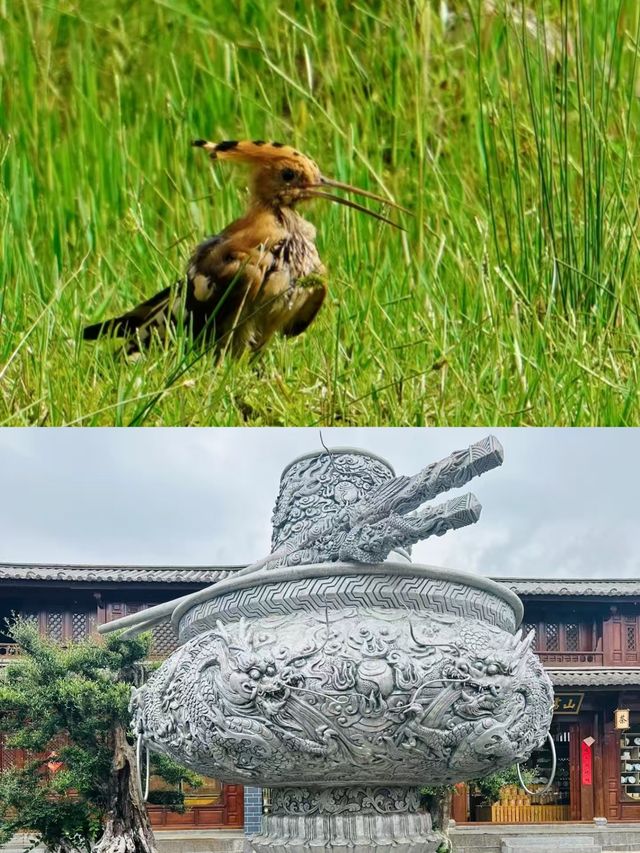 鶴慶已回，真不建議2月去。