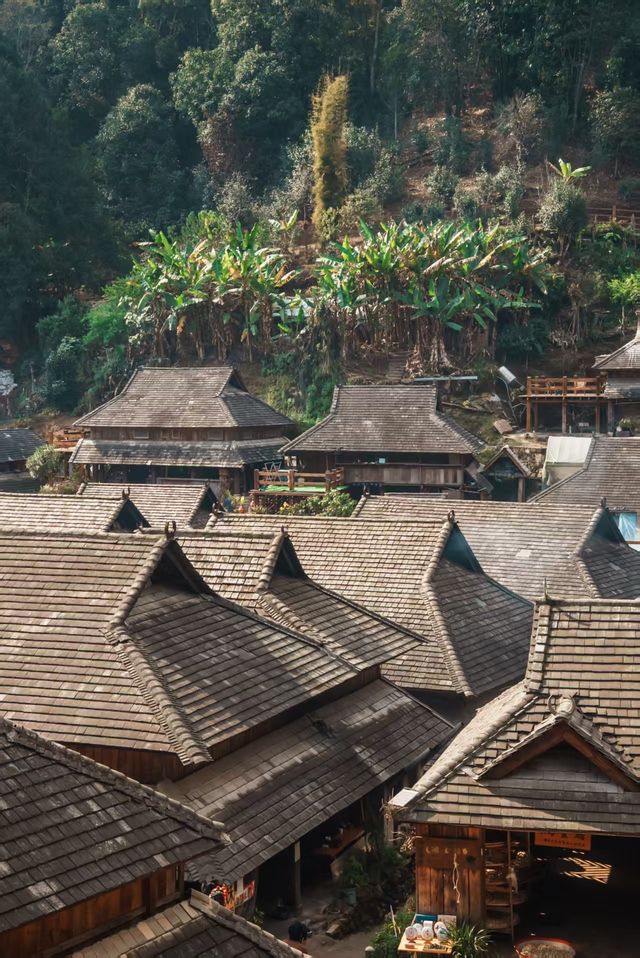 來到普洱不要錯過景邁山，分享兩天一夜茶文化之旅