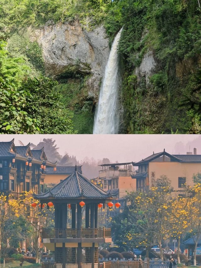 屏邊受罪已回，要去的姊妹慎重。