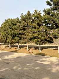 鍾意西安每個有陽光嘅日子