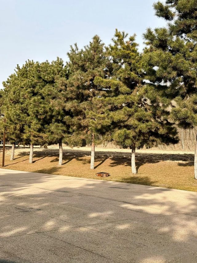 鍾意西安每個有陽光嘅日子 鍾意西安每個有陽光嘅日子