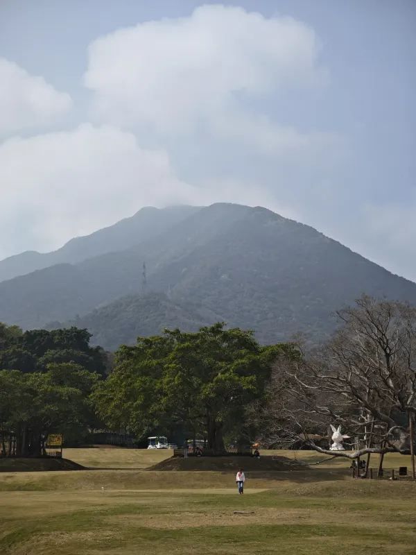 恩上濕地公園：期待與現實