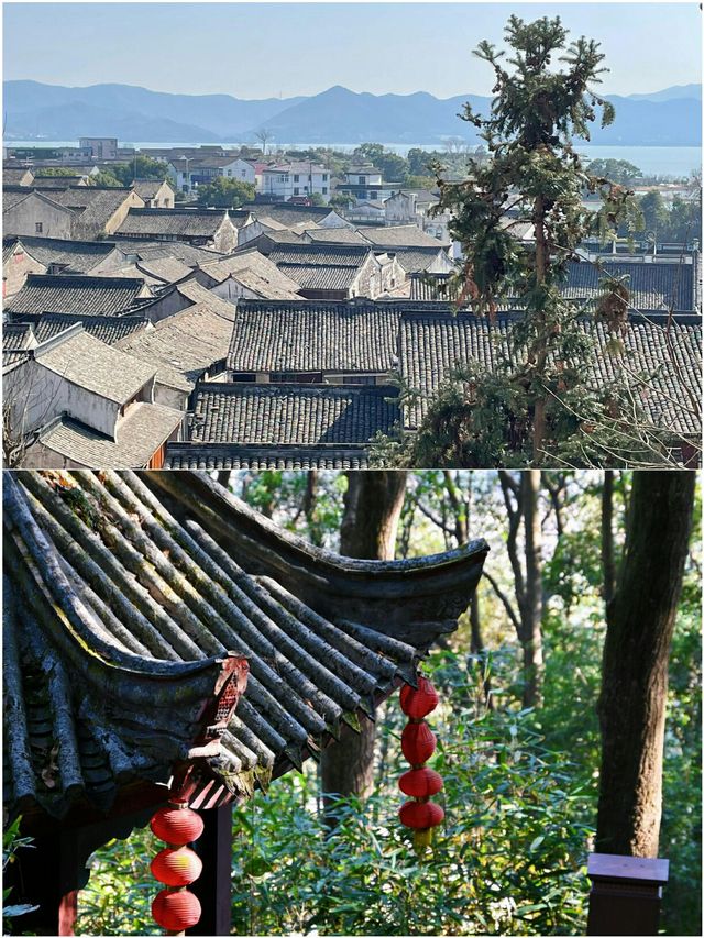 寧波四天受罪已回  說說真心大實話