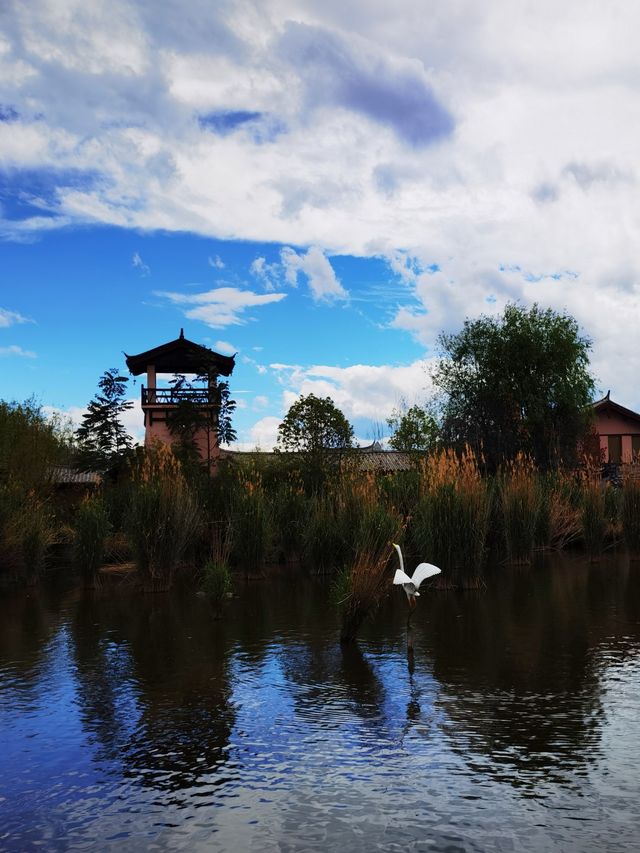 拉市海秘境，麗江後花園的治癒系湖泊