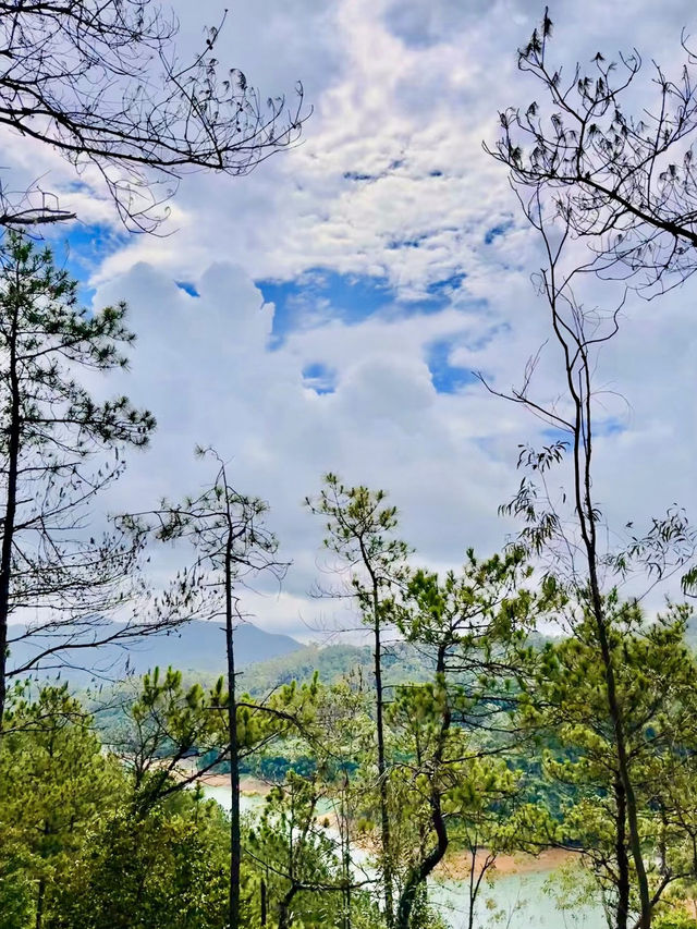仙蹤龍隱，山水間的靈秀之境