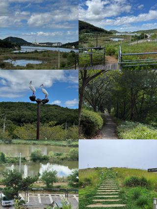 Siheung, South Korea: A Hidden Gem