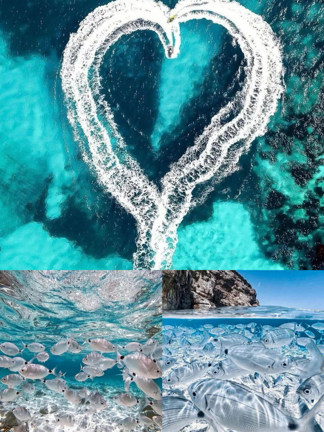 撒丁島 地球上僅此一片的果凍海