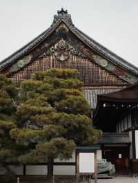 【京都旅行｜两天一夜超精緻攻略✨附拍照聖地&美食地图】