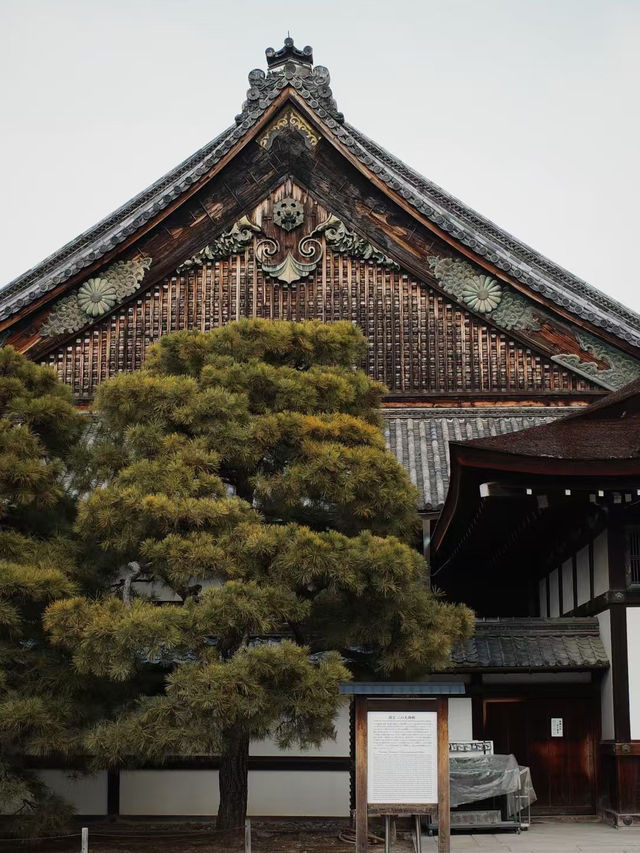 【京都旅行｜两天一夜超精緻攻略✨附拍照聖地&美食地图】