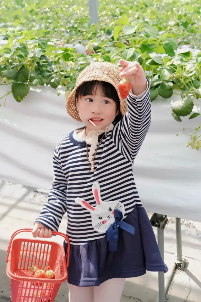 장쑤 저장 상하이 지역 가족 여행, 리양 자가용 1박 2일 여행기