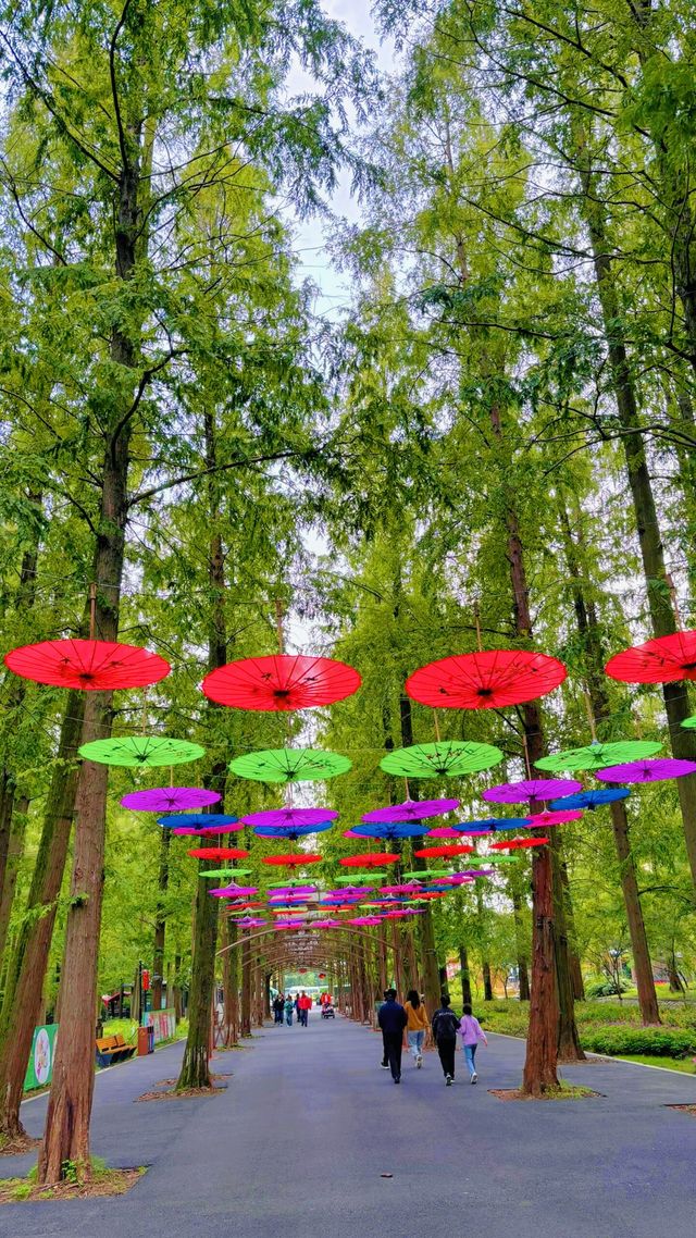 東平國家森林公園：如何避開旅遊高峰期？