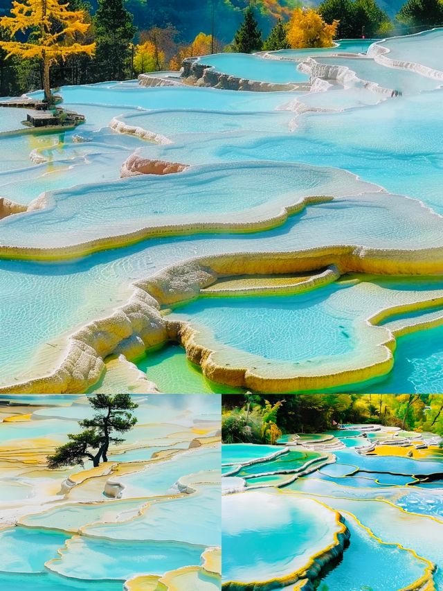 黃龍之韻，千年之秘，天地間之靈秀。