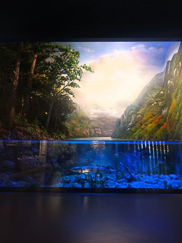 重慶-宜昌3日遊 玩轉熱門風景 超詳細攻略
