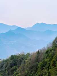 在九皇山的雲霧與山林間，尋一段詩意的時光