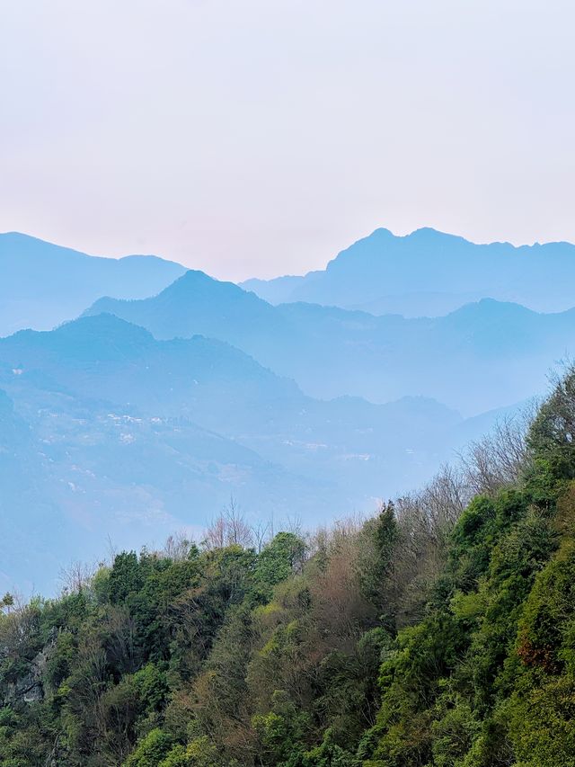 在九皇山的雲霧與山林間，尋一段詩意的時光