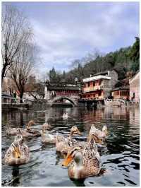 【湖北咸寧市～「楚天第一村」劉家橋】