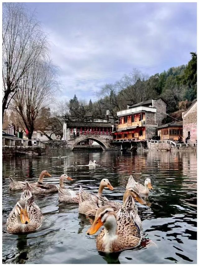 【湖北咸寧市～「楚天第一村」劉家橋】